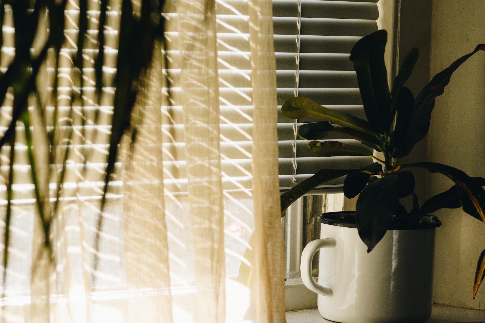How To Clean Blinds: The Ultimate Guide To Cleaning All Blind Styles