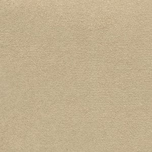 Free Samples Desert - Signature Roman Shade Collection