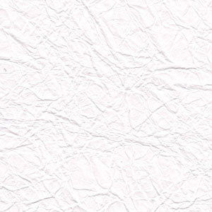 Color - Evelyn Brite White